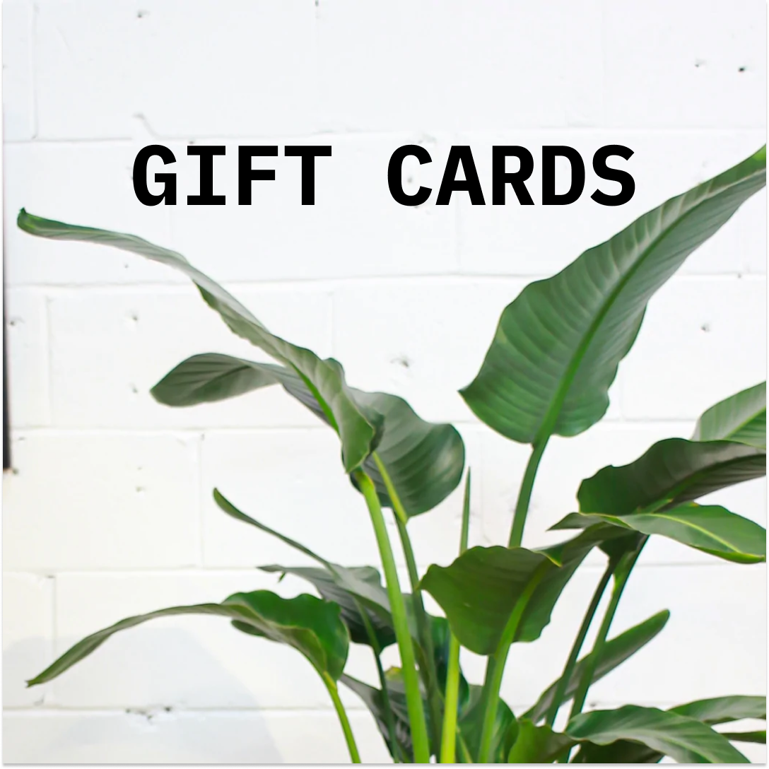 Promise Supply Gift Card