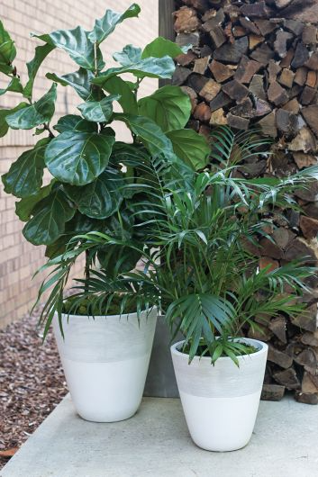 Lifestyle Planter Fits up to 10 inch Nursery Pot