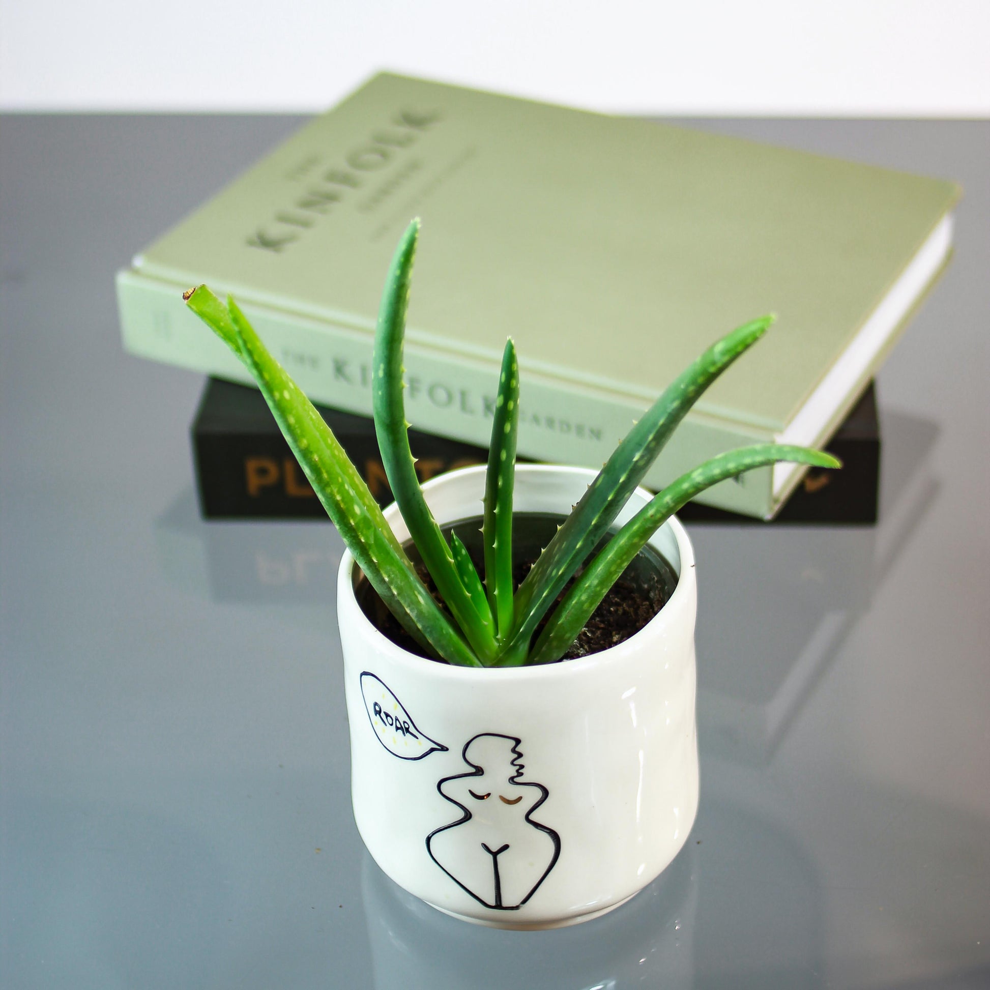 aloe vera plant toronto Aloe Vera: Barbadensis - 4" Pot