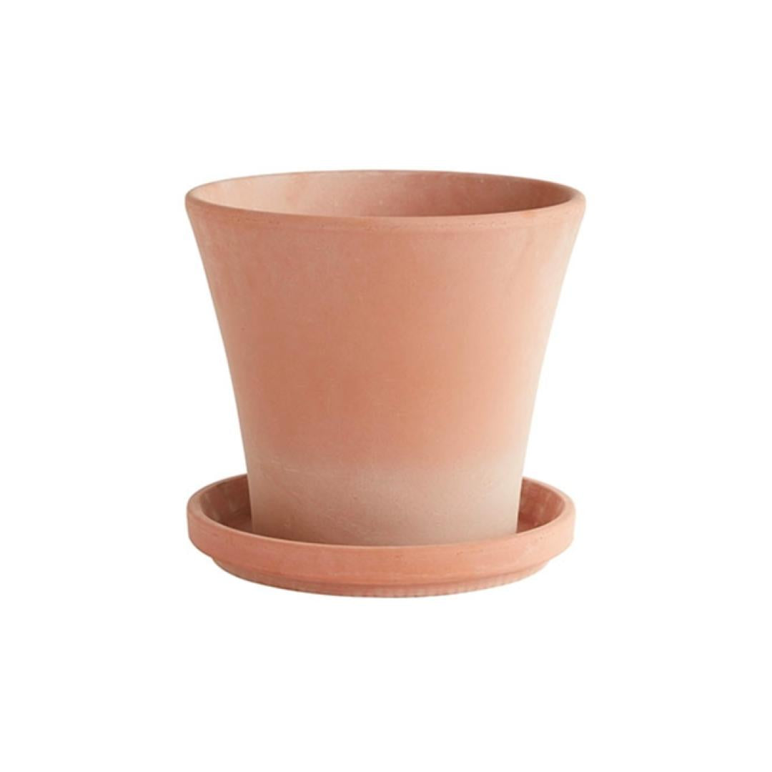 Earthen Terracotta Planter with Drainage and Tray in 11.5 inch Diameter