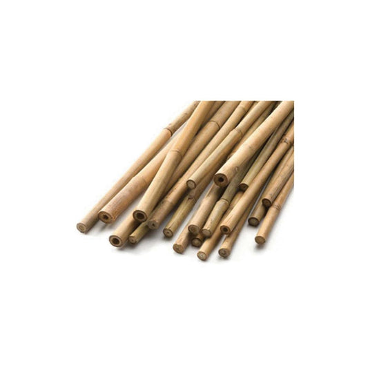 Bamboo Natural Cane Stake 3 feet tall - (10 Pack)