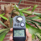 HousePlantJournal's LTH Meter