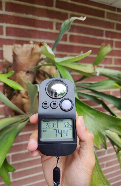 HousePlantJournal's LTH Meter