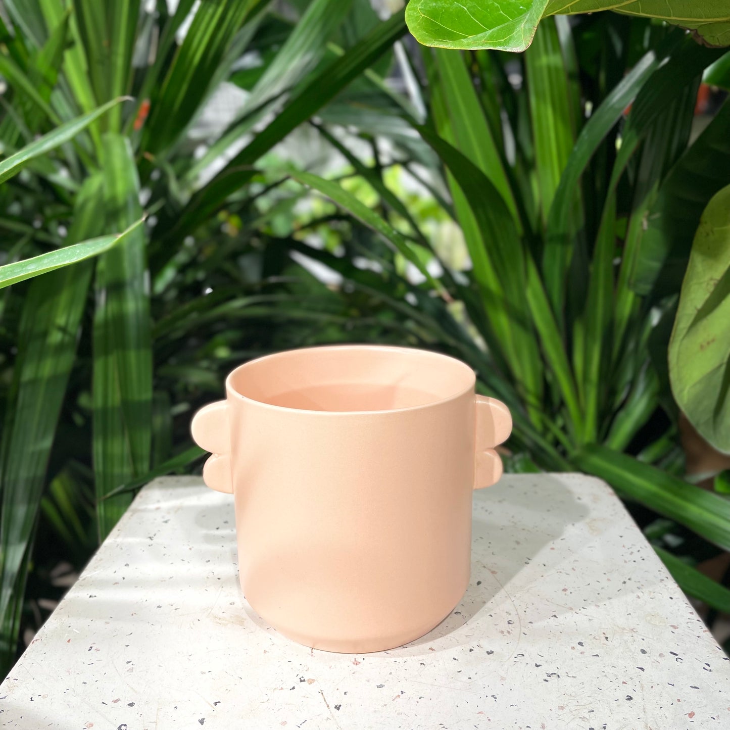 Jamye Ceramic Planter fits up to 5 inch Nursery Pot