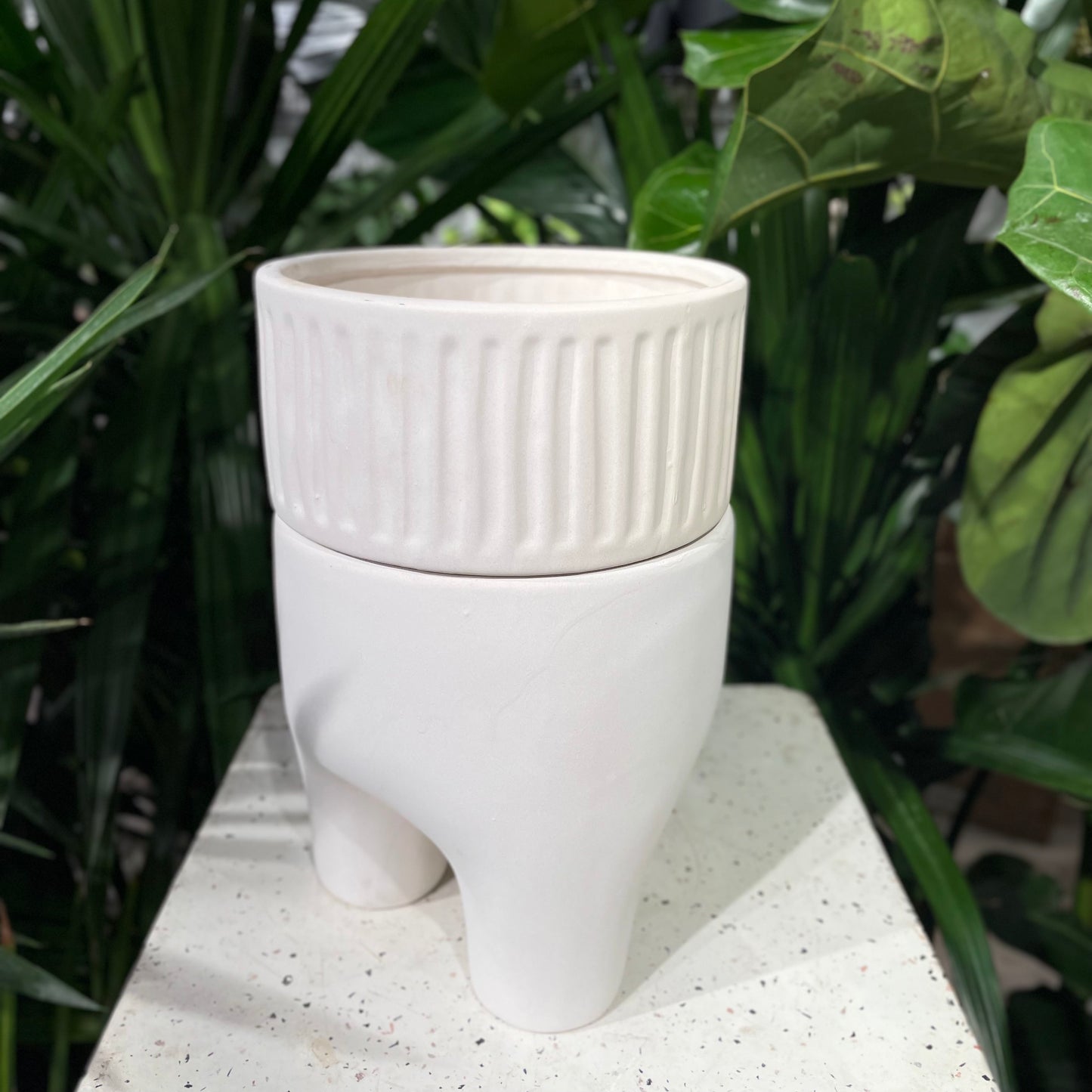 Dash White Shallow Tall Planter with Drainage and Legs - 7 Inch