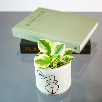 Variegated Baby Rubber Plant (Peperomia obtusifolia) in a 4 inch pot. Indoor plant for sale by Promise Supply for delivery and pickup in Toronto