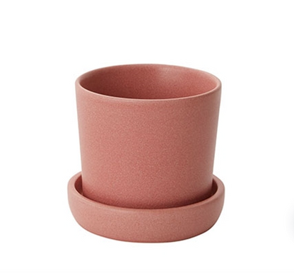 Watson Ceramic Planter With Drainage and Tray in 6 inch Diameter