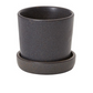 Watson Ceramic Planter With Drainage and Tray in 6 inch Diameter