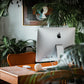 Office Plant Virtual Consultation - Bring your Workspace to Life