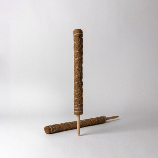 Coco Coir Pole for Plant Support — Supports product on white background — for sale by Promise Supply for delivery and pickup in Toronto.