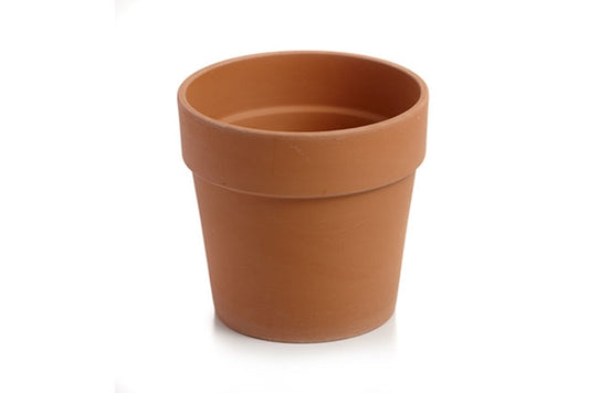 Calima Terracotta Planter with Drainage and Tray in 12 inch Diameter