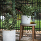 Callahan Concrete Planter with Drainange and Tray in 13 inch Diameter