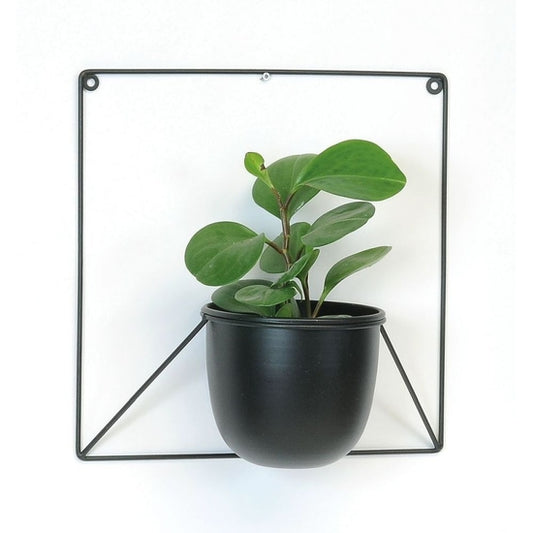 Wall Mount Black Iron Planter Fits up to 6 inch Nursery Pot