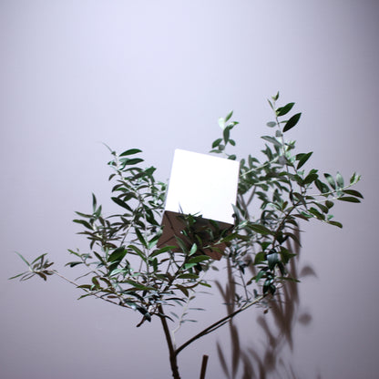 The HIGHLIGHT Plant Light Bulb - LED Grow Light - 200W Equivalent