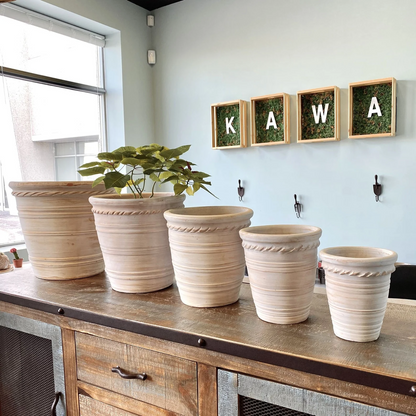 Pink Lines Clay Planter with Drainage and Tray