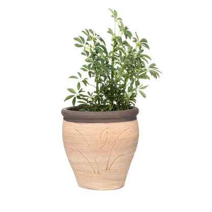 Henna Coloured Trim Clay Planter with Drainage and Tray