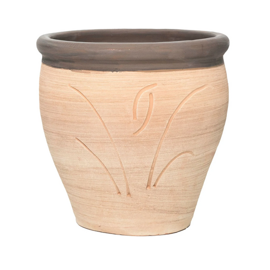 Henna Coloured Trim Clay Planter with Drainage and Tray