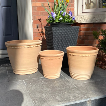 Ruffle Trim Clay Planter with Drainage and Tray