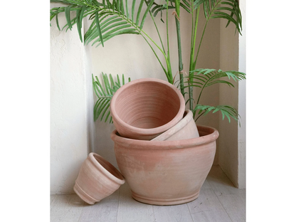 Wide Natural Clay Planter with Drainage and Tray