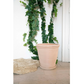 Lined Trim Clay Planter with Drainage and Tray