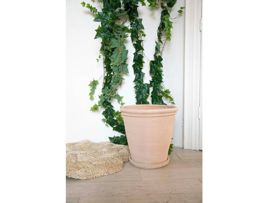 Lined Trim Clay Planter with Drainage and Tray