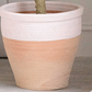 Half Full Pink Clay Planter with Drainage and Tray