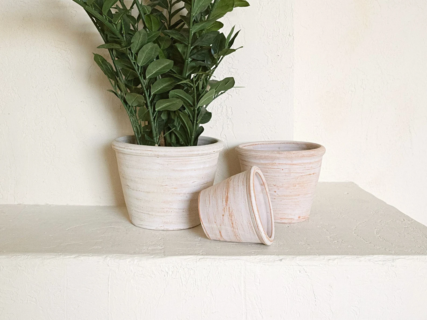 Well Spoken Pink Clay Planter with Drainage and Tray