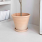 Oversized Tall Clay Planter with Drainage and Tray