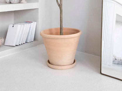 Oversized Tall Clay Planter with Drainage and Tray