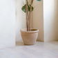 Oversized Wide Clay Planter with Drainage and Tray