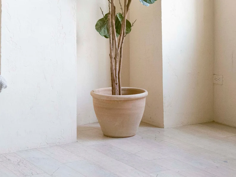 Oversized Wide Clay Planter with Drainage and Tray