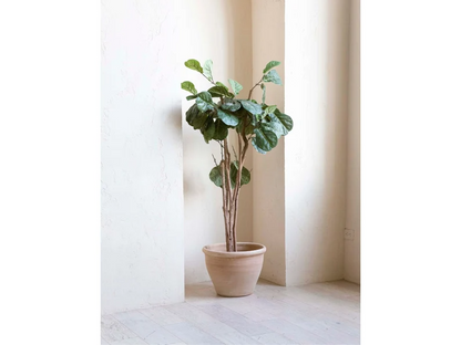 Oversized Wide Clay Planter with Drainage and Tray