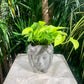 Face Palm Bust Planter Fits up to 4 inch Nursery Pot