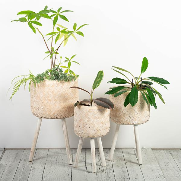 plant stand for 10 inch pot Bamboo Woven Basket Plant Stand – No Drainage – 10 inch – Promise Supply