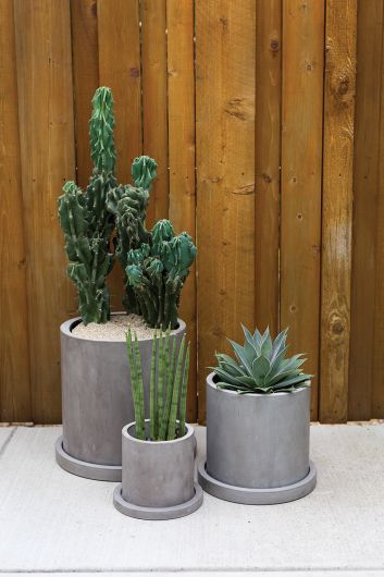 Marta Gray Concrete Planter with Drainage and Tray Fits up to 10 inch Nursery Pot